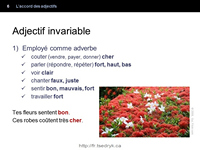 Accord des adjectifs grammaire française