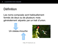 Pluriel des noms composés grammaire française